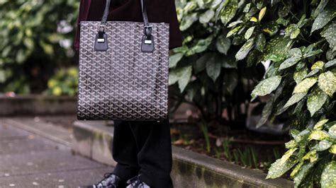 can i use my goyard in winter|Goyard canvas care.